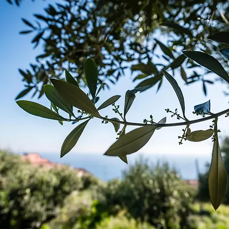 Donna Giulia Apartamento Caprioli